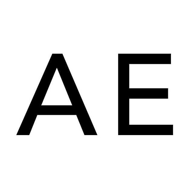 AE Denim Sale icon